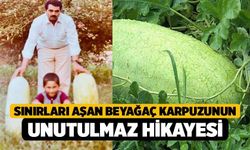 Sınırları Aşan Beyağaç Karpuzunun Unutulmaz Hikayesi