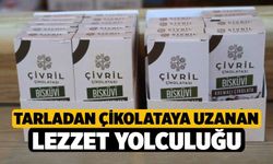 Tarladan Çikolataya Uzanan Lezzet Yolculuğu