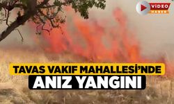 Tavas Vakıf Mahallesi’nde Anız Yangını