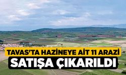 Tavas'ta Hazineye Ait 11 Arazi Satışa Çıkarıldı!