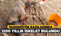 Yassıhöyük Kazılarında 1200 Yıllık İskelet Bulundu