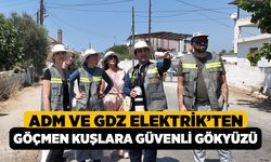 Adm ve Gdz Elektrik’ten Göçmen Kuşlara Güvenli Gökyüzü