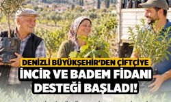 Denizli Büyükşehir'den Çiftçiye İncir ve Badem Fidanı Desteği Başladı!