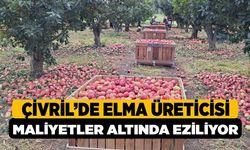 Denizli Çivril'de Elma Üreticisi Artan Maliyetler Altında Eziliyor: Fiyatlar Yarı Yarıya Düştü