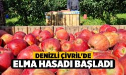 Denizli Çivril'de Elma Hasadı Başladı