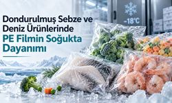 Dondurulmuş Sebze ve Deniz Ürünlerinde PE Filmin Soğukta Dayanımı