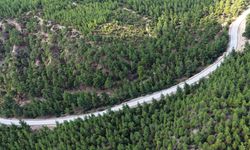 Honaz ve Bozkurt'u Birleştiren 9 Kilometrelik Dev Hamle