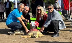 Pamukkale Üniversitesi COP31 İklim Projelerini Tanıttı