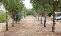 Şemikler'e Doğa ile İç İçe Yürüyüş Parkı Geliyor!