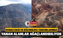 Yanan Orman Sahaları Havadan İncelendi: "2 Bin Hektarda Çalışmalar Tamamlanmak Üzere"