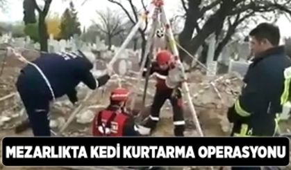 Denizli İtfaiyesi'nden Kedi Kurtarma Operasyonu