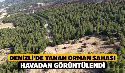 Denizli'de Yanan Orman Sahası Havadan Görüntülendi