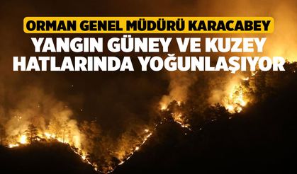 Orman Genel Müdürü Karacabey: "Yangın güney ve kuzey hatlarında yoğunlaşıyor"