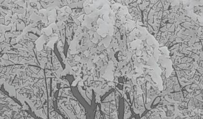 Çameli’nde kar kalınlığı 20 santime yaklaştı