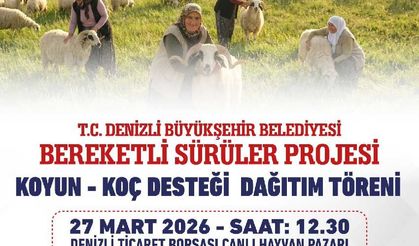 Denizli Büyükşehir, 582 Üreticiye 1200 Adet Koyun-Koç Dağıtacak