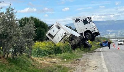 Denizli'de Bağa Giren Tır Şaha Kalktı