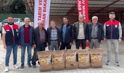 Denizli’de Çiftçiye %50 Hibeli Ayçiçeği Tohumu Desteği