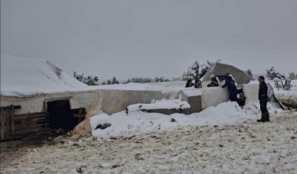 Çöken Çadırda Mahsur Kalan Hayvanları Ekipler Kurtardı