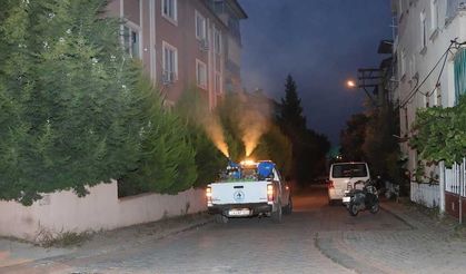 Denizli Pamukkale’de 61 Mahallede Gece İlaçlama Başladı