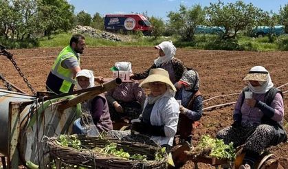 Tarım işçilerini serinleten ikram