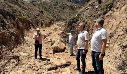 Buldan Orman İşletme Müdürlüğü'nden Yangın Sonrası Kalıcı Dere Islahı ve Altyapı Projesi