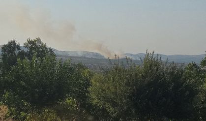 Denizli Çal Akkent Mahallesi’nde Otluk Alan Yangını