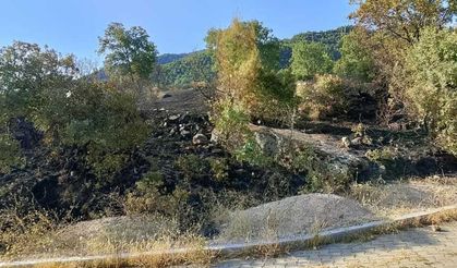Denizli'de örtü yangını alevler büyümeden kontrol altına alındı