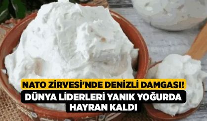 NATO Zirvesi'nde Denizli Damgası! Dünya Liderleri Yanık Yoğurda Hayran Kaldı