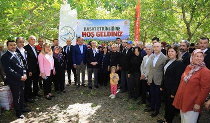 Çameli'de Ceviz Hasadı Şenliği Çoşkuyla Gerçekleştirildi