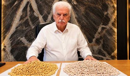 BORSA-20 Tarladan Sanayiye Uzandı, BORSA-20 Sarı Leblebiye Dönüştü