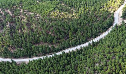 Honaz ve Bozkurt'u Birleştiren 9 Kilometrelik Dev Hamle
