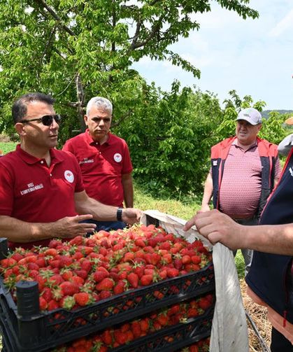 Denizli İl Tarım Müdürü Zayim Buldan'da Çilek Üreticileriyle Buluştu