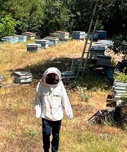 Denizli’de Arıcılara Güçlü Destek! Saha Ekipleri Kovan Tespiti Ve Kontrollerini Sürdürüyor
