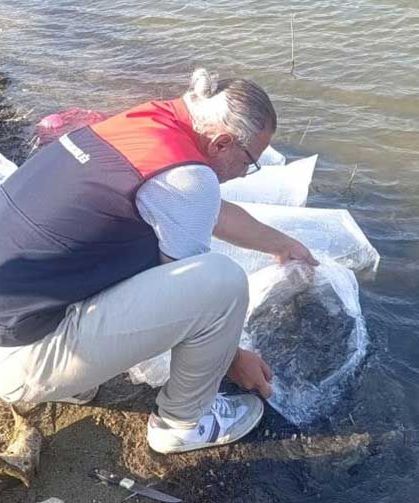 Buldan Göletlerine Can Suyu! Su Kaynaklarına 80 Bin Yavru Balık Bırakıldı