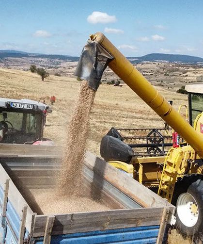 Denizli Ticaret Borsası’nın Tescilli Tohumu Borsa-20 Kütahya ve Afyonkarahisar’da Yüz Güldürdü!