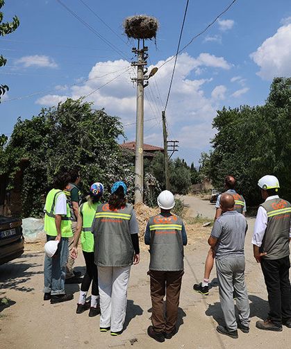 Adm ve Gdz Elektrik’ten göçmen kuşlara güvenli gökyüzü