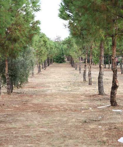 Şemikler'e Doğa ile İç İçe Yürüyüş Parkı Geliyor!