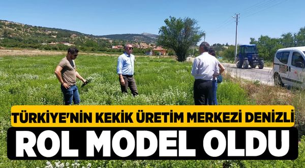 Türkiye'nin Kekik Üretim Merkezi Denizli, Rol Model Oldu