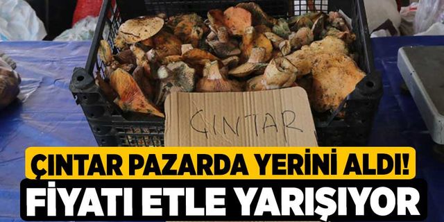 Çıntar Pazarda Yerini Aldı! Fiyatı Etle Yarışıyor