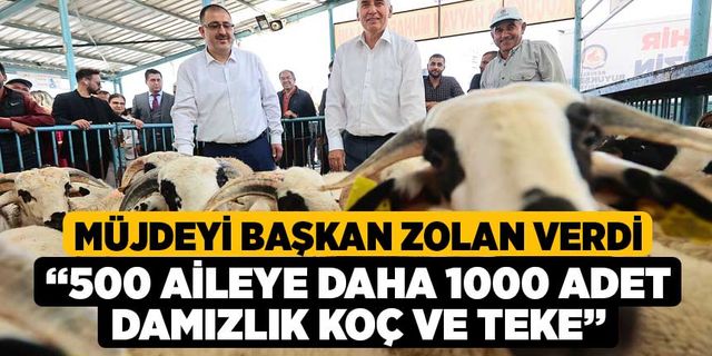 Müjdeyi Başkan Zolan verdi, “500 aileye daha 1000 adet damızlık koç ve teke"