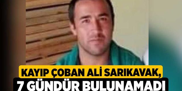 Kayıp Çoban Ali Sarıkavak, 7 Gündür Bulunamadı