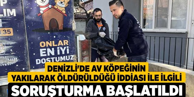 Denizli'de av köpeğinin yakılarak öldürüldüğü iddiası ile ilgili soruşturma başlatıldı