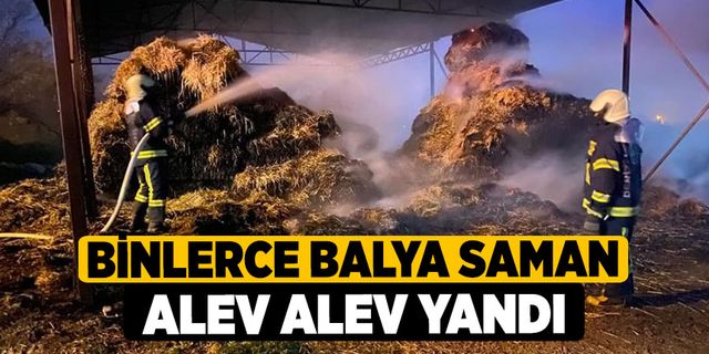 Binlerce Balya Saman Alev Alev Yandı