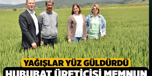 Denizli’de Yağışlar Hububat Üreticilerini Sevindirdi