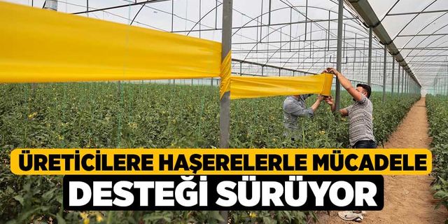 Üreticilere haşerelerle mücadele desteği sürüyor
