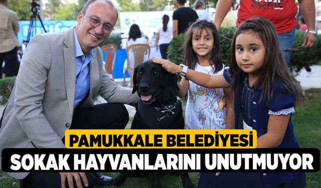 Pamukkale Belediyesi Sokak Hayvanlarını Unutmuyor