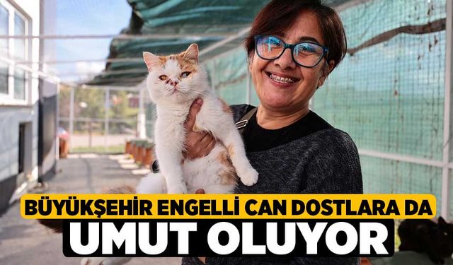 Büyükşehir engelli can dostlara da umut oluyor 