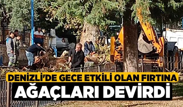 Denizli'de Gece Etkili Olan Fırtına Ağaçları Devirdi