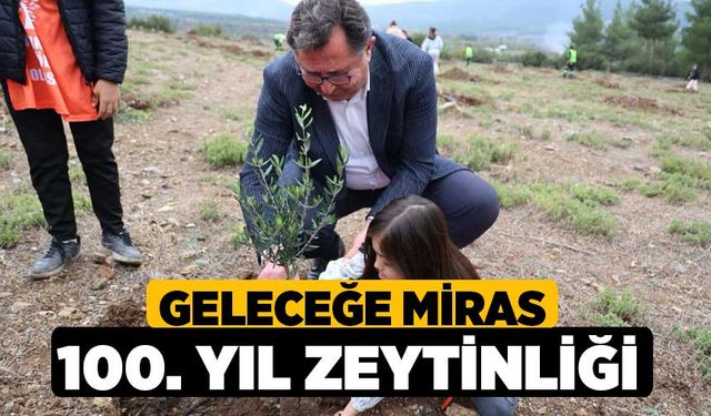 Geleceğe Miras 100. Yıl Zeytinliği 