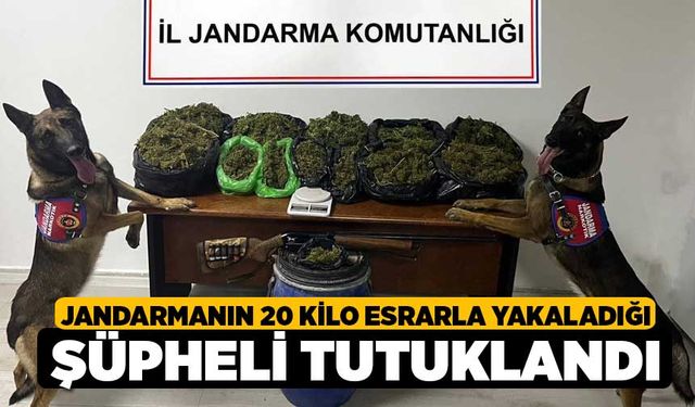 Jandarmanın 20 kilo esrarla yakaladığı şüpheli tutuklandı